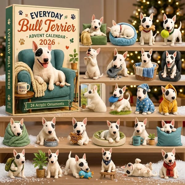 🐶 Everyday Bull Terrier Advent Calendar 2026 – 24 Cute Acrylic Ornaments & Daily Surprises 🎄✨