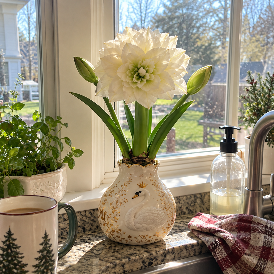 Sunny Kitchen Window with blooming gift pot