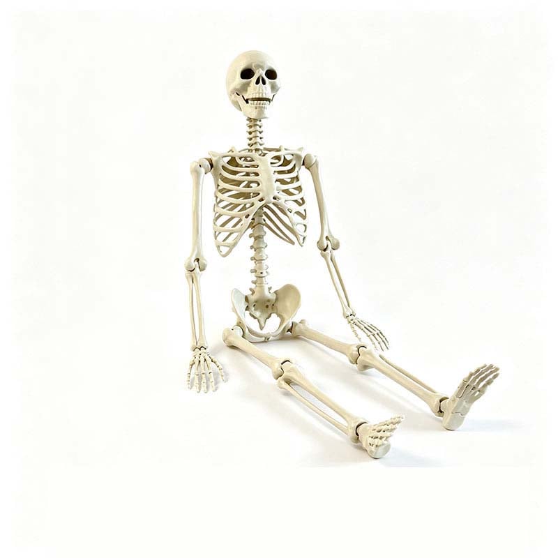 (🎁Last Day 49% OFF)💀Backseat Bones-Skeleton passenger