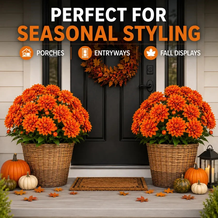 Orange dahlia pot fillers styling a fall porch entry