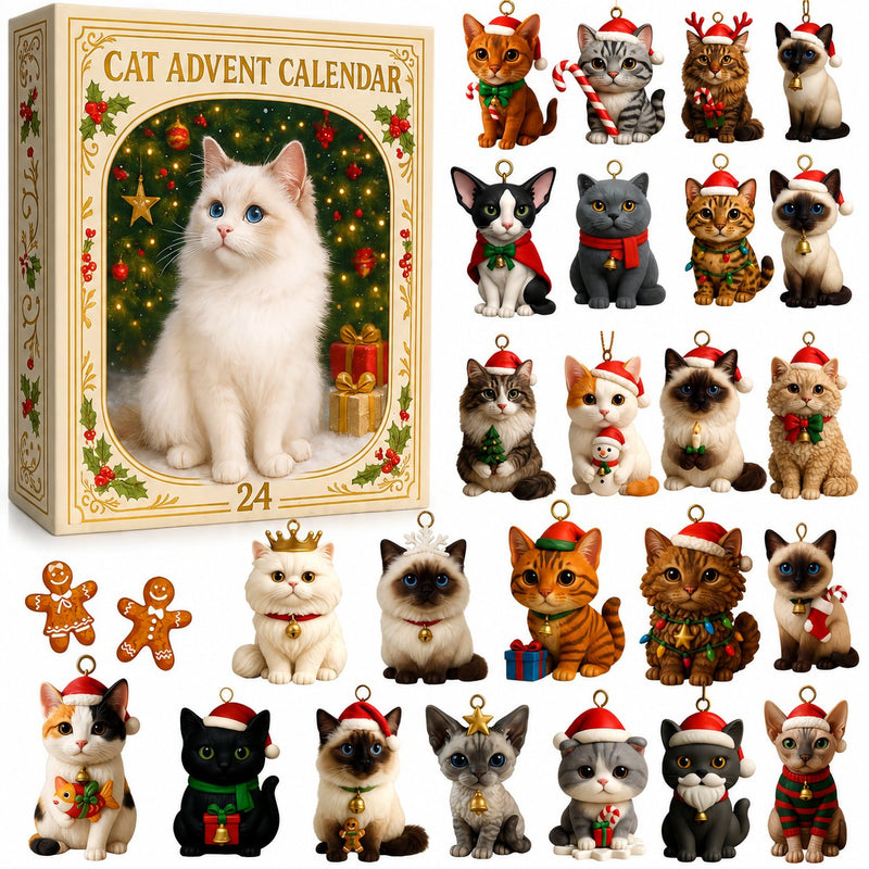 Cat advent calendar gift