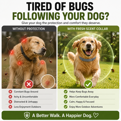 🔥 49% OFF TODAY 🐾 Best Flea & Tick Collar for Pets