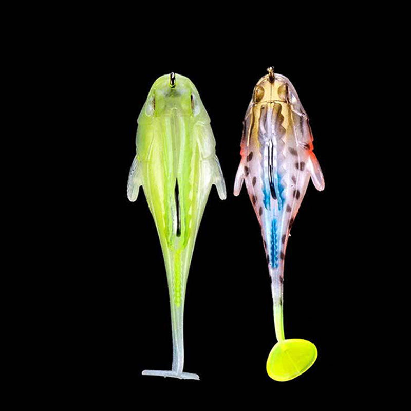 Verified top view showing the hook channel along the lure's back