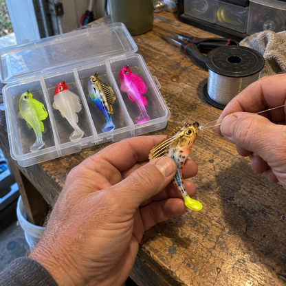 5-Piece T-Tail Soft Lure Set with Box