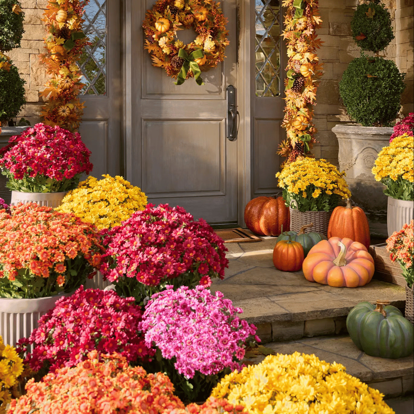 🌼Artificial Outdoor Sunset Mums Flowers - UV resistant, Waterproof, Windproof