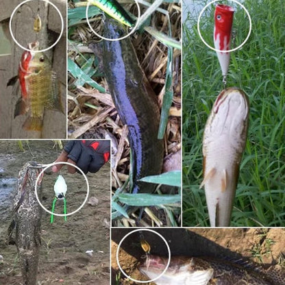 🎣🎄 24-Day Fishing Lure Advent Calendar – A New Catch Every Day 🎁🐟