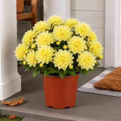 🍂❤️Vibrant Faux Dahlia Pot Filler