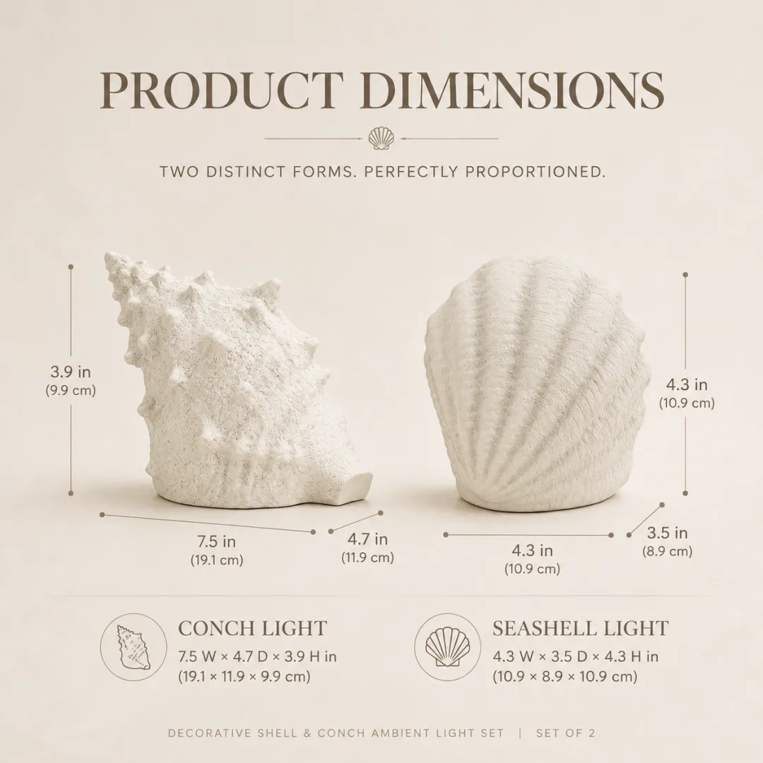Coastal shell and conch light dimensions
