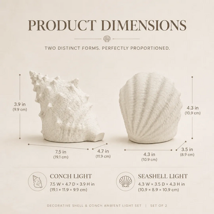 Coastal Afterglow Shell & Conch Light Set