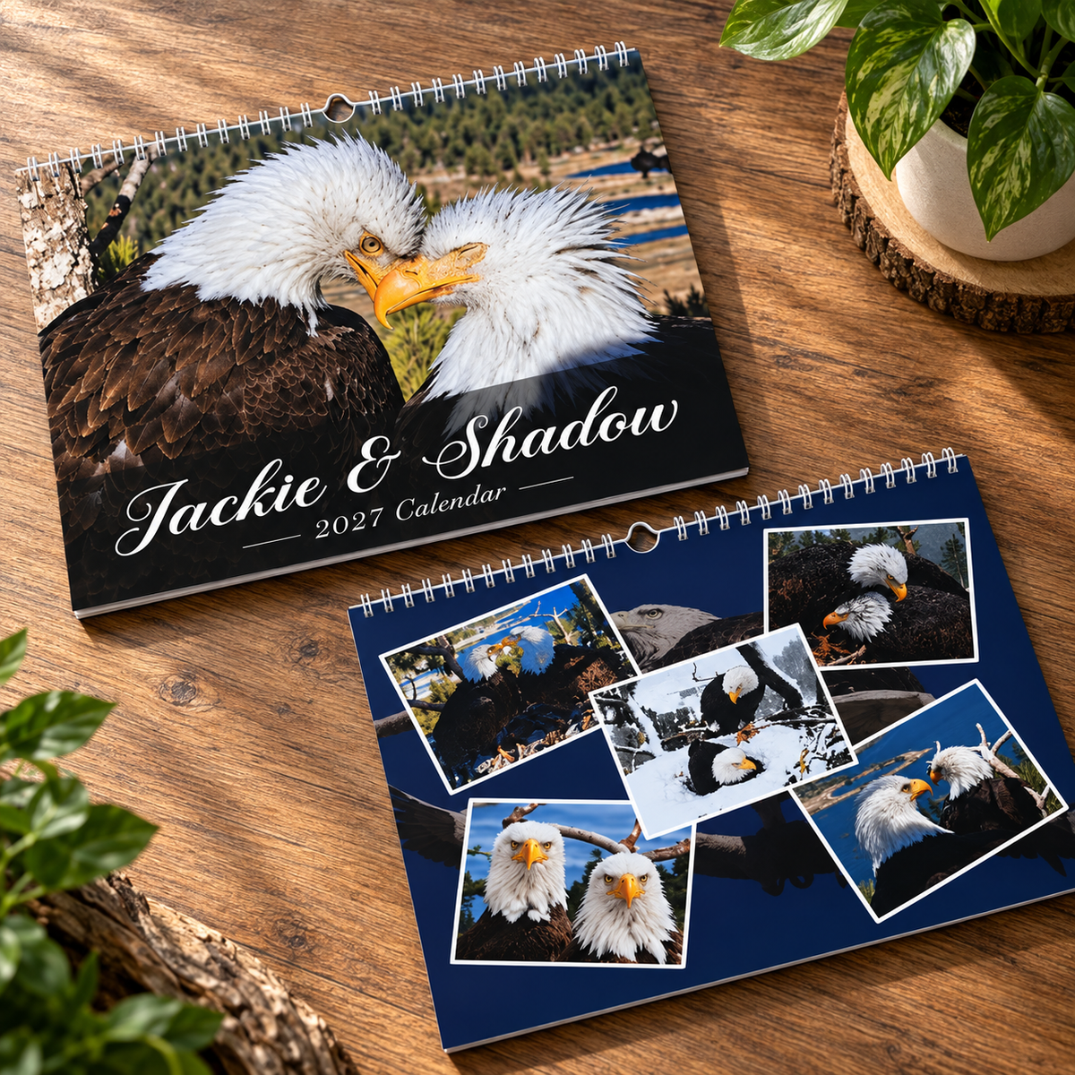 Jackie & Shadow 2027 Bald Eagle Wall Calendar