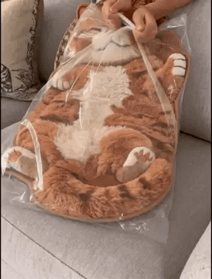 Chubby cat rug lifestyle view