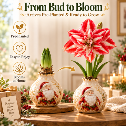Grow Your Own Amaryllis – Blooming Gift Pot with Decorative Animal Vase