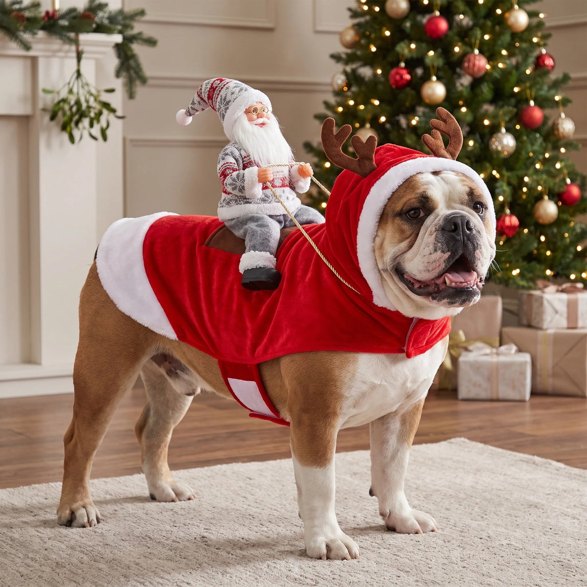 🎅 Christmas Dog Costume-Turn Your Dog Into Santa’s Funniest Christmas Ride! 🐶🎄