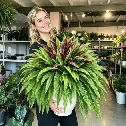 Lifelike Artificial Fern & Red Dracaena: UV-Resistant Outdoor Plant!
