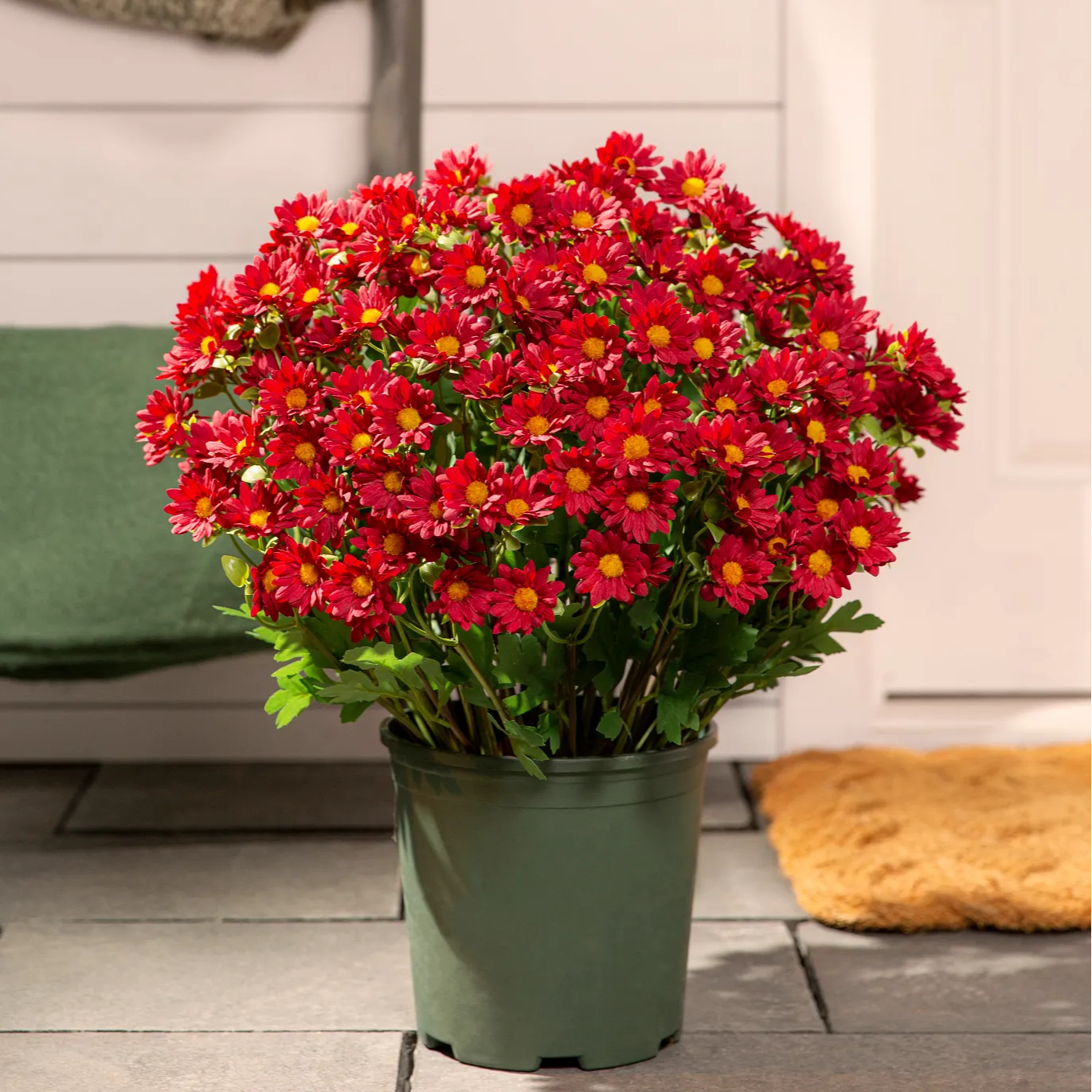🌼Artificial Outdoor Sunset Mums Flowers - UV resistant, Waterproof, Windproof
