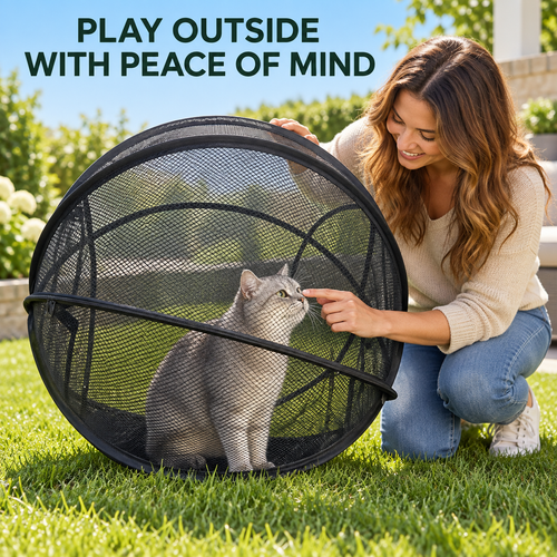 🔥🐱 Pop-Up Cat Playpen 🌿 Fresh Air, Safe Space, Happy Cat