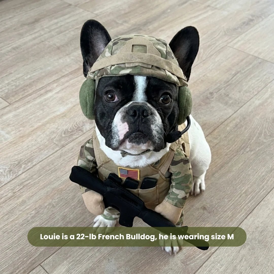 🔥Funny Tactical Soldier Pet Costume – Front-Facing Military Uniform for Dogs & Cats