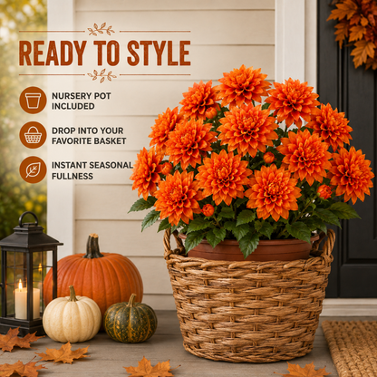 🍂❤️Vibrant Faux Dahlia Pot Filler