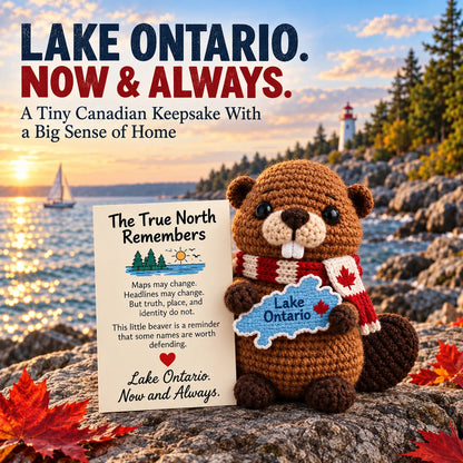⏳ Last Day 49% OFF – 🦫 Lake Ontario Emotional Support Beaver Crochet Keepsake | 5 Canadian-Inspired Personalities with Matching Message Cards for Cottage Families, Lake Lovers & Meaningful Gifts 🍁
