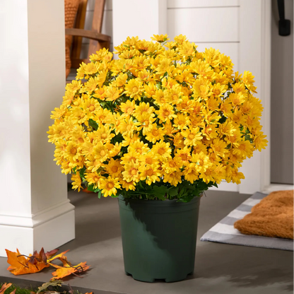 🌼Artificial Outdoor Sunset Mums Flowers - UV resistant, Waterproof, Windproof