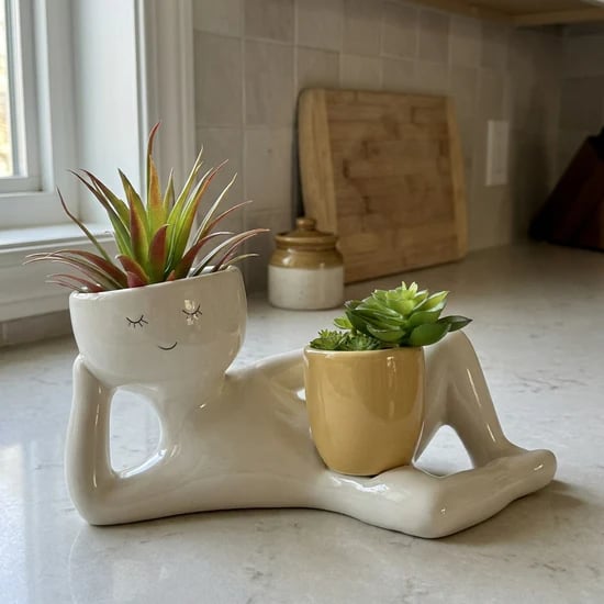 🌵 Double Plant Pot with a Funny Twist – Grow Two Plants in One Cute Planter 🌿