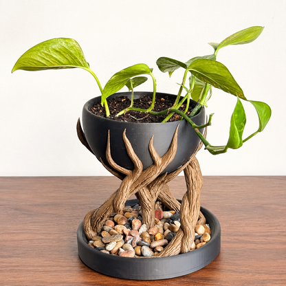 🌿🪴 Tree Root Planter – Sculptural Tabletop Plant Holder with Nature-Inspired Design