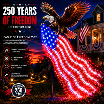 ✨🇺🇸 250th Anniversary Sale - 50% OFF 🦅 Eagle of Freedom™ Solar Garden Light