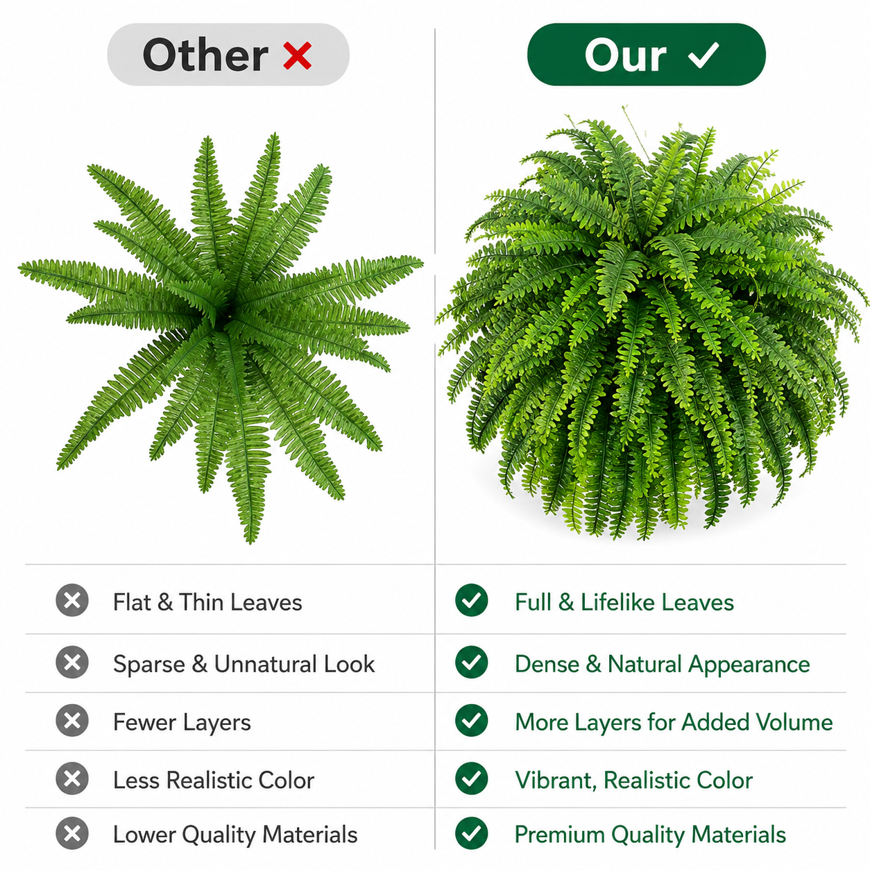 Boston fern fullness comparison