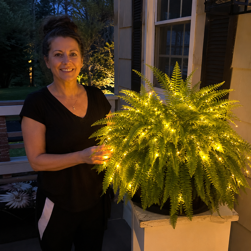 Customer beside illuminated Boston fern