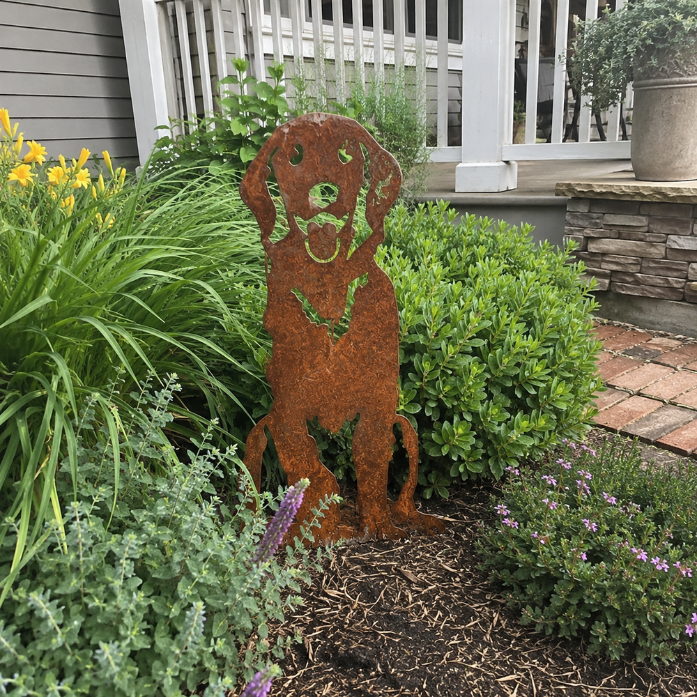 Dog silhouette in real front yard