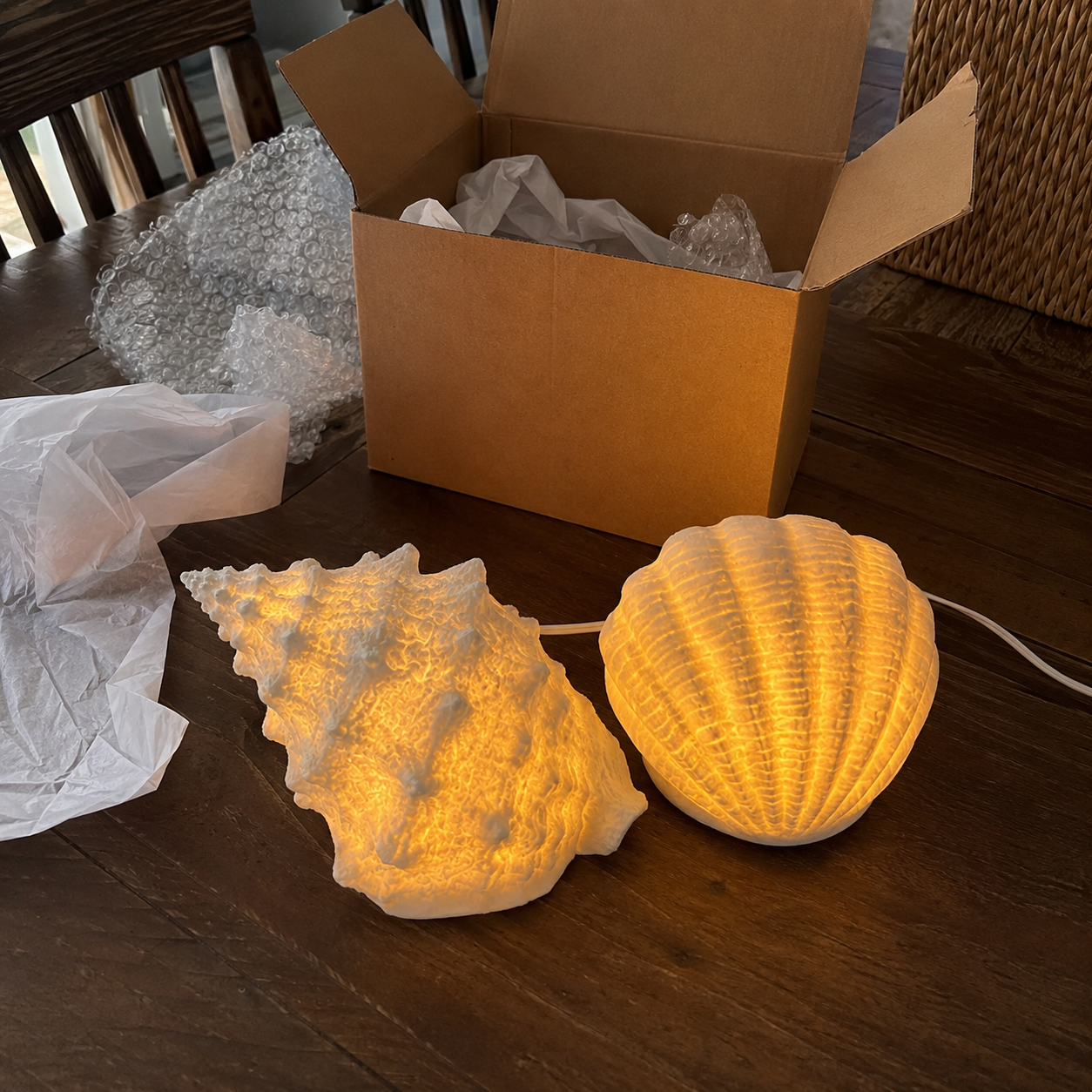 Coastal Afterglow Shell & Conch Light Set