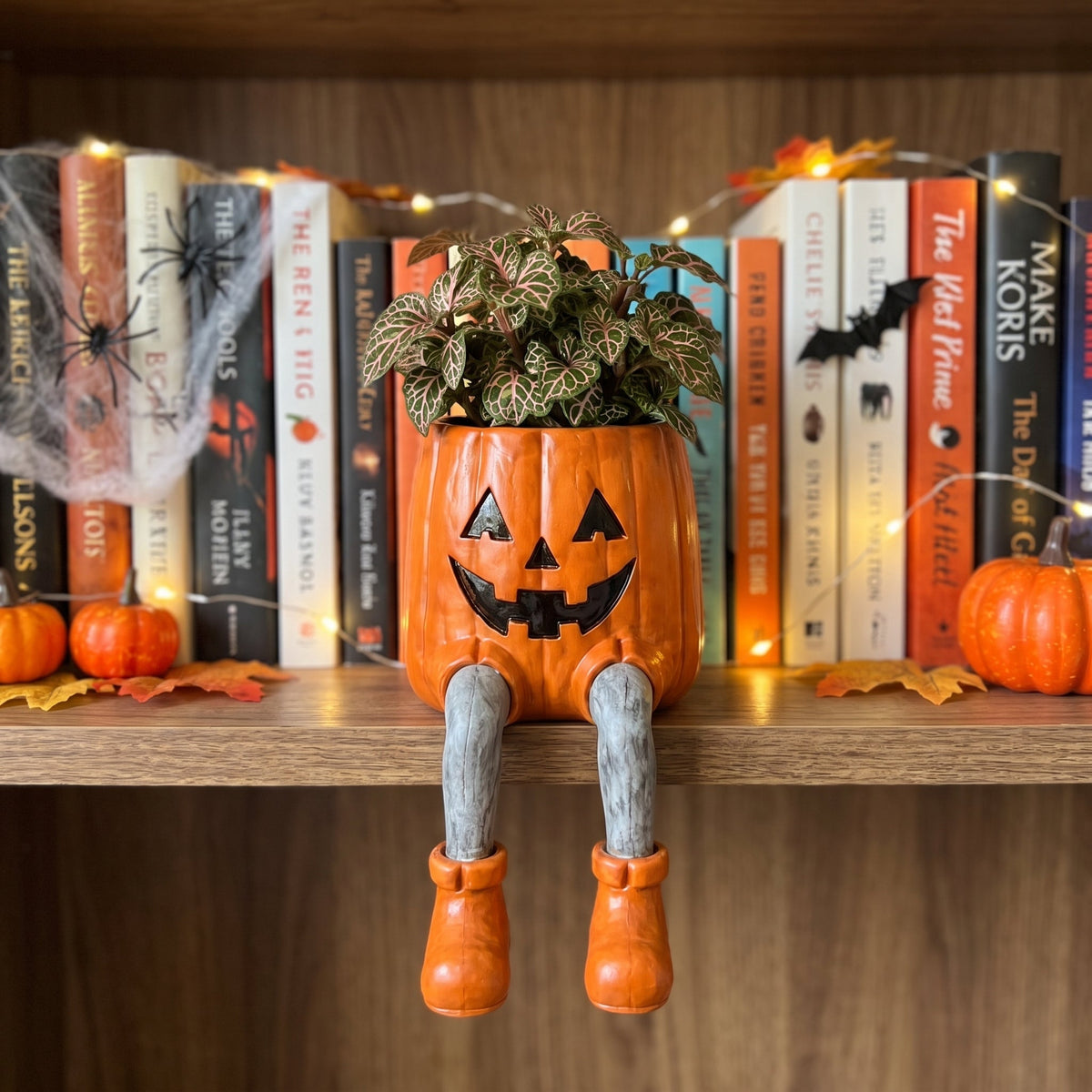 🎁The Quirky Ledge Friend: Handcrafted Shelf Bloom Pot