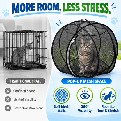 🔥🐱 Pop-Up Cat Playpen 🌿 Fresh Air, Safe Space, Happy Cat