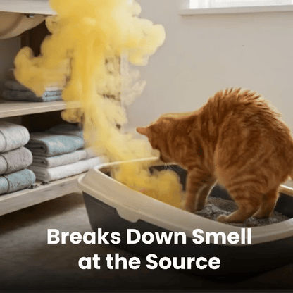 OzoFreshen supplier odor-control illustration GIF
