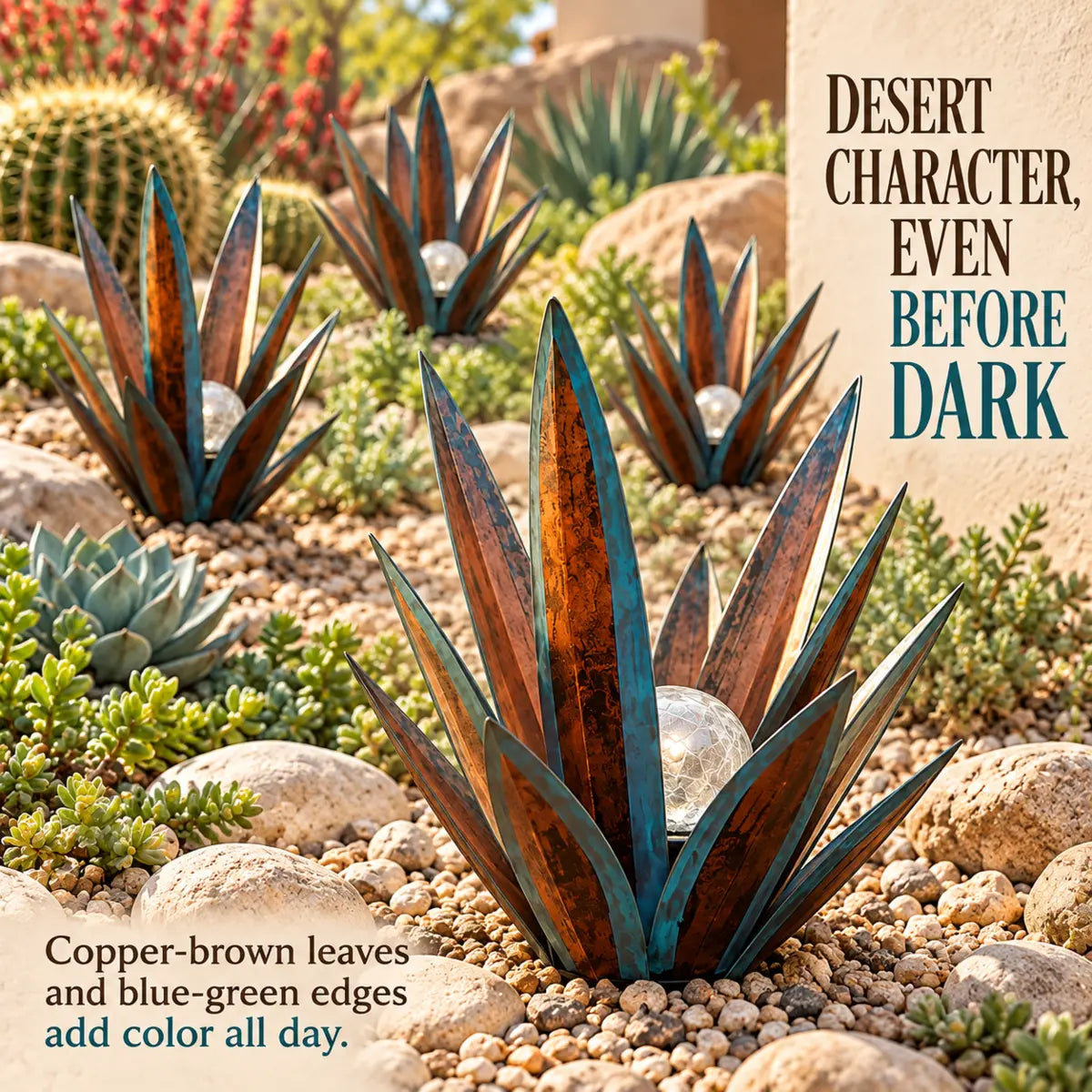 Daytime decorative look of the agave garden light among rocks and succulents