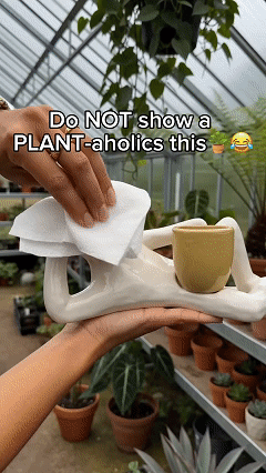 🌵 Double Plant Pot with a Funny Twist – Grow Two Plants in One Cute Planter 🌿