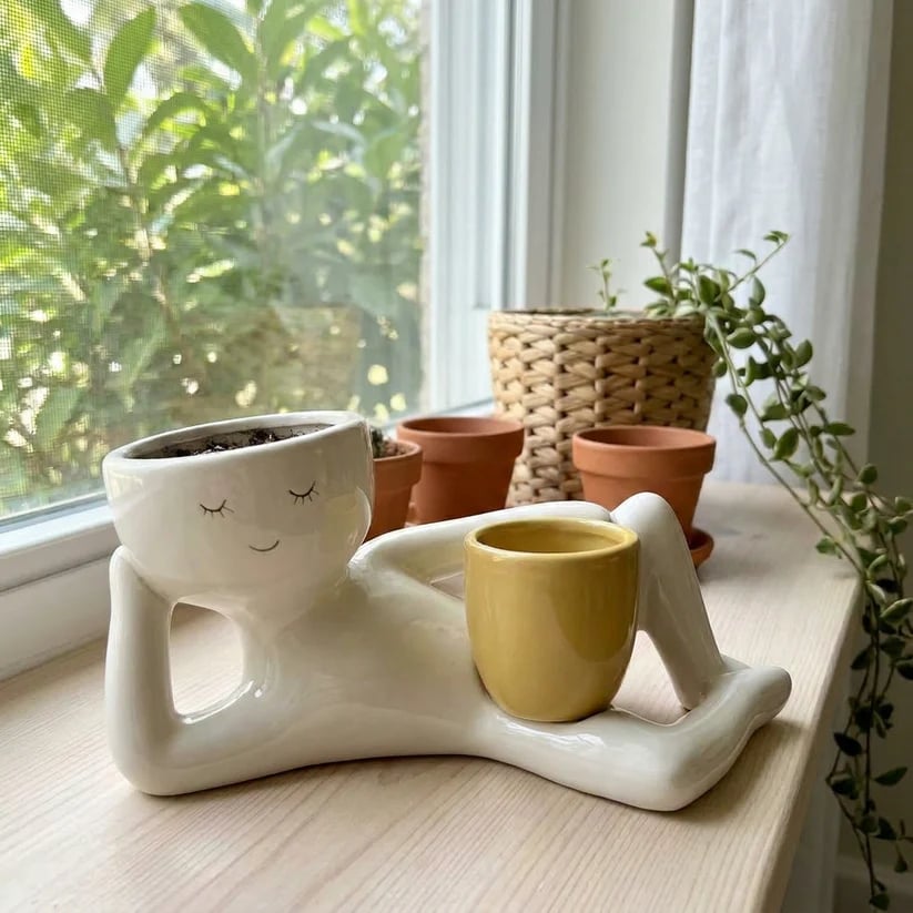 🌵 Double Plant Pot with a Funny Twist – Grow Two Plants in One Cute Planter 🌿