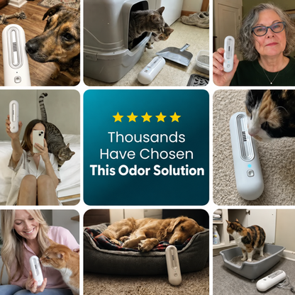 🐾 Tackle Lingering Pet Odors — Keep Your Home Smelling Fresh 🏡