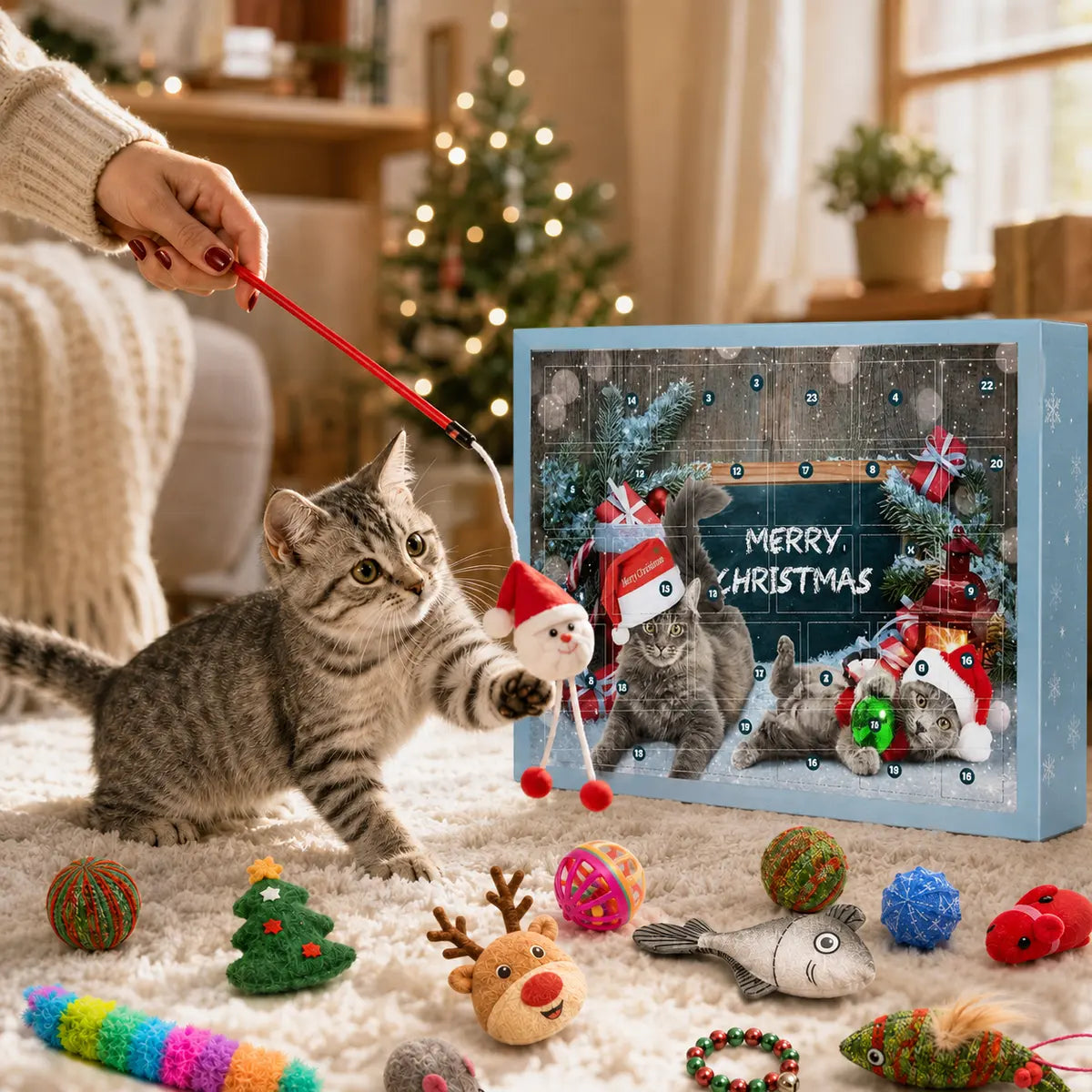 Cat playing beside the Christmas advent calendar