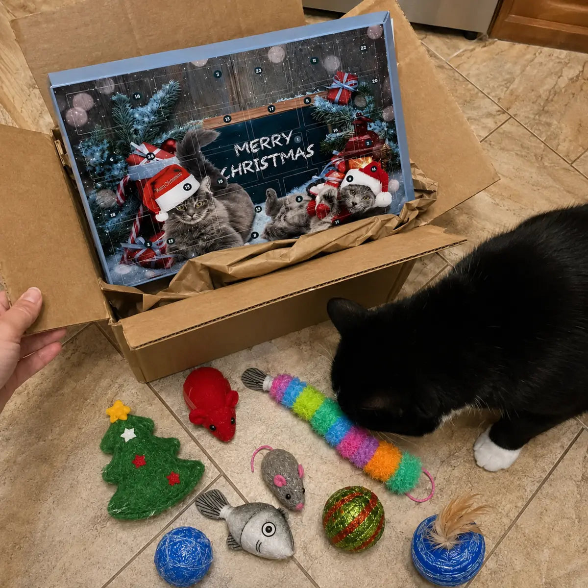 Customer unboxing the cat advent calendar