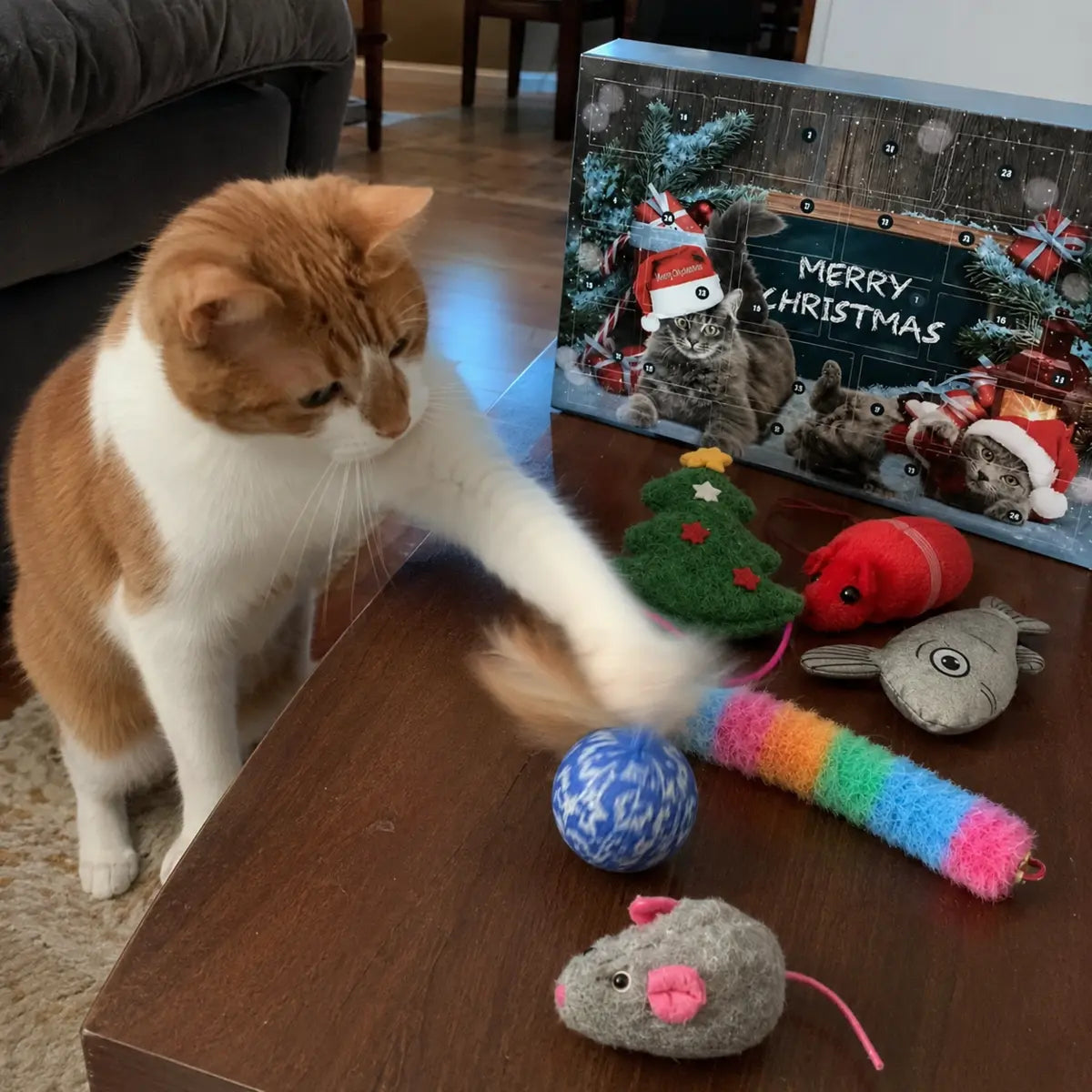 Cat playing with toys from the advent calendar