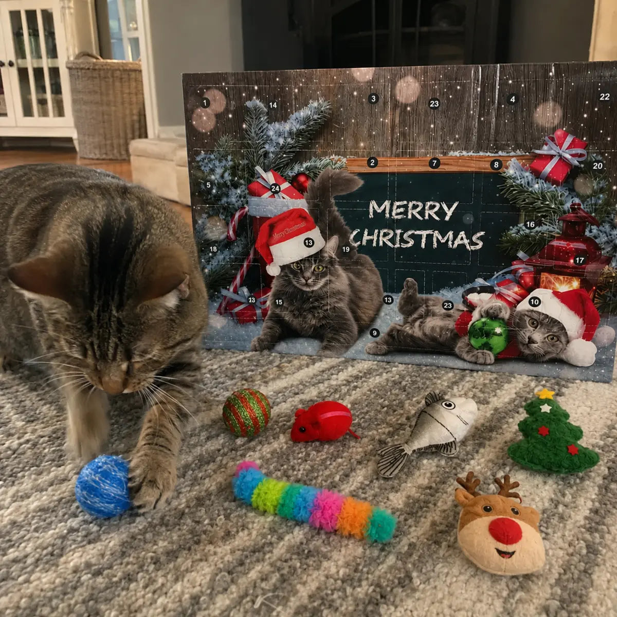 Cat playing at home beside the Christmas calendar