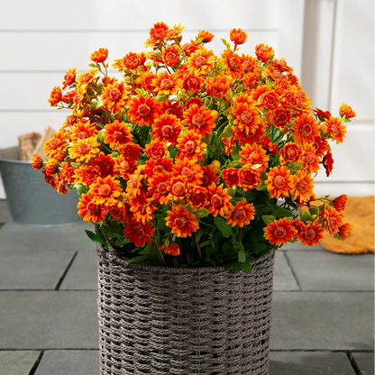 🌼Artificial Outdoor Sunset Mums Flowers - UV resistant, Waterproof, Windproof