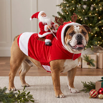 🎅 Christmas Dog Costume-Turn Your Dog Into Santa’s Funniest Christmas Ride! 🐶🎄