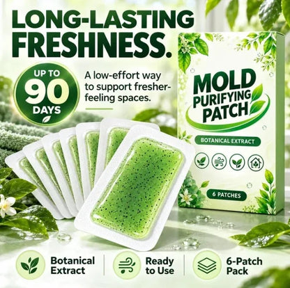 🔥🎁🧪 6Pcs Mold Purifying Patches