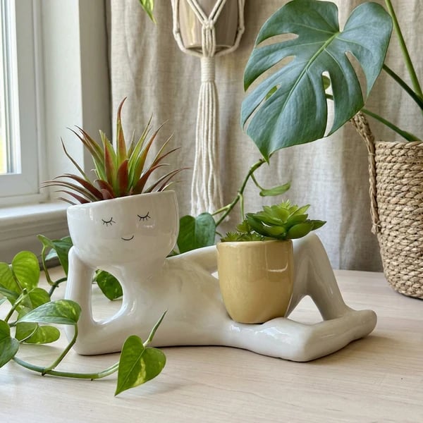 🌵 Double Plant Pot with a Funny Twist – Grow Two Plants in One Cute Planter 🌿