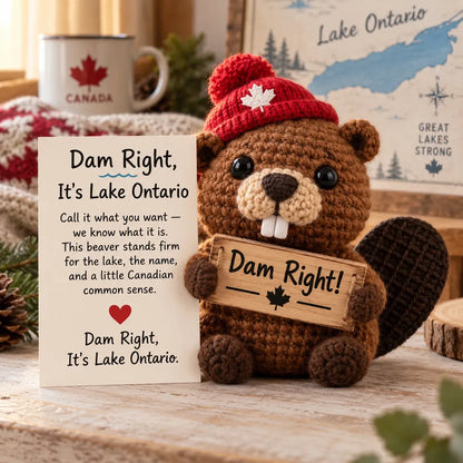 ⏳ Last Day 49% OFF – 🦫 Lake Ontario Emotional Support Beaver Crochet Keepsake | 5 Canadian-Inspired Personalities with Matching Message Cards for Cottage Families, Lake Lovers & Meaningful Gifts 🍁