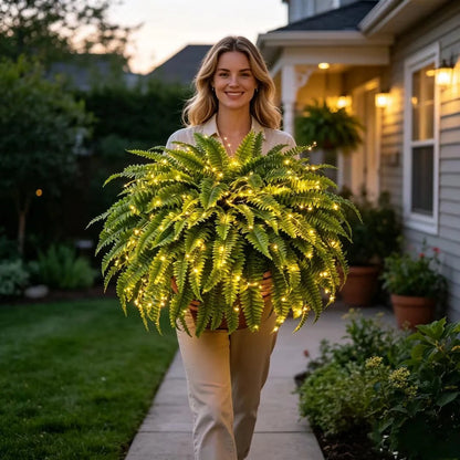 💛Glowing Boston Ferns with Lights – 🌿 Zero Watering, Zero Maintenance