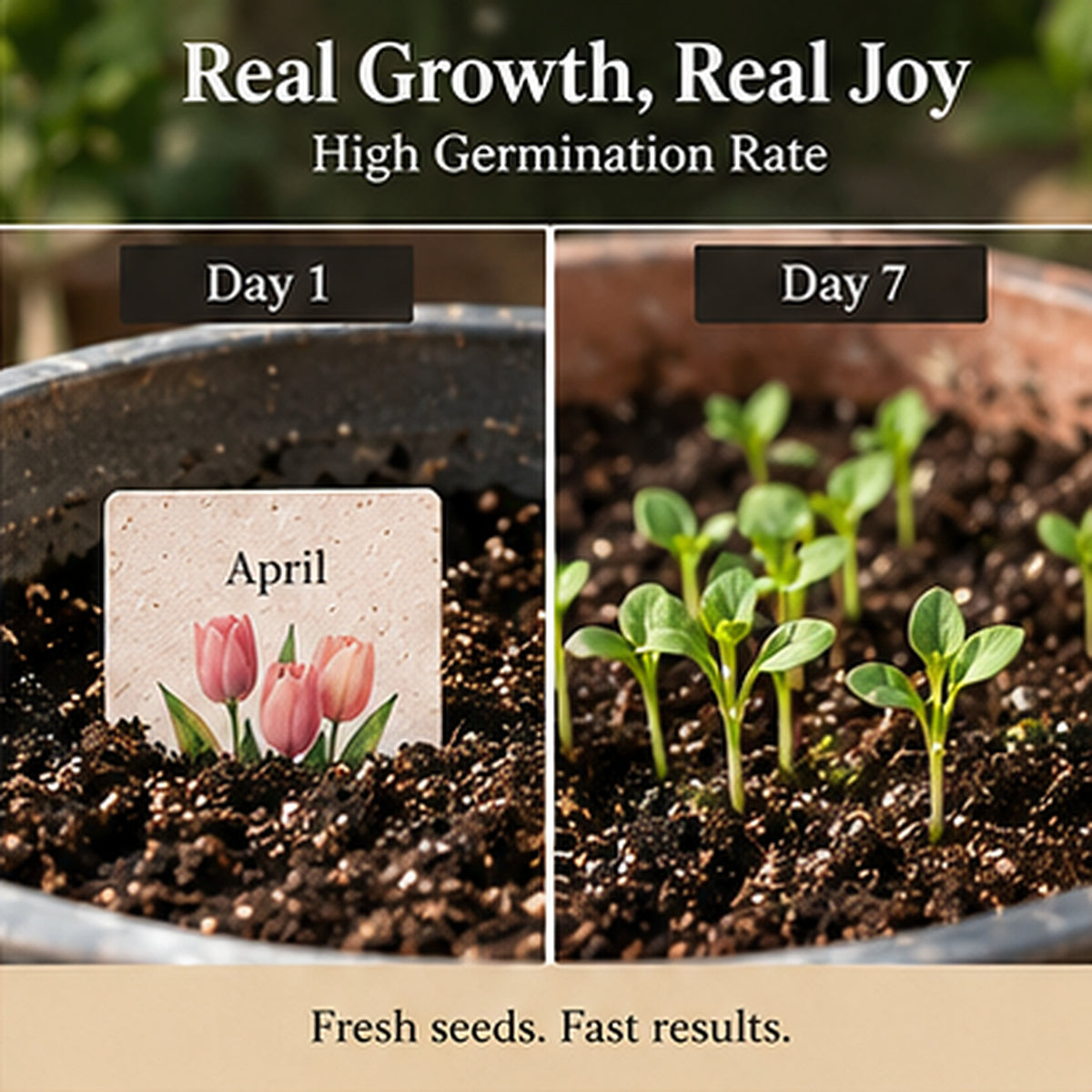 ✨Early Holiday Sale 45% OFF🌱 Timeless Seed Calendar 2027 | A Year of Growing Joy