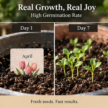✨Early Holiday Sale 45% OFF🌱 Timeless Seed Calendar 2027 | A Year of Growing Joy